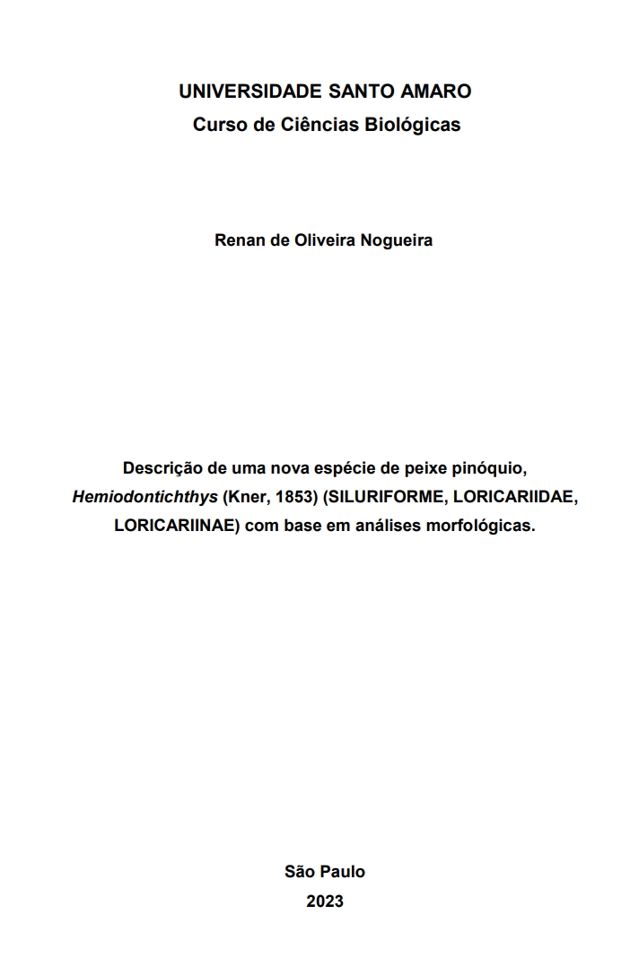 Imagem de Miniatura