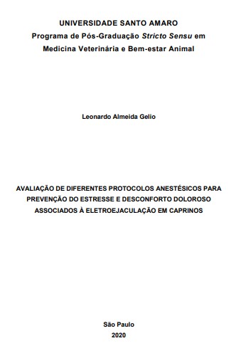 Imagem de Miniatura
