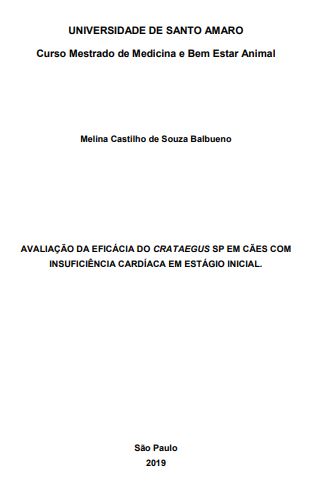 Imagem de Miniatura